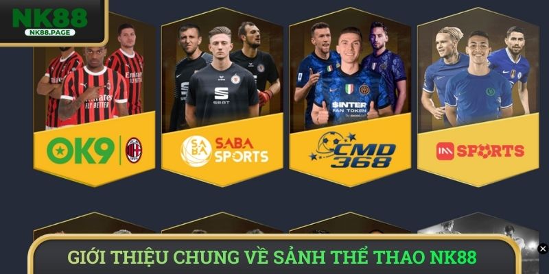 Giới thiệu chung về sảnh thể thao NK88